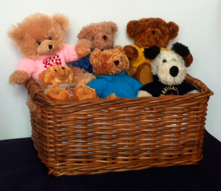 Martlets bears